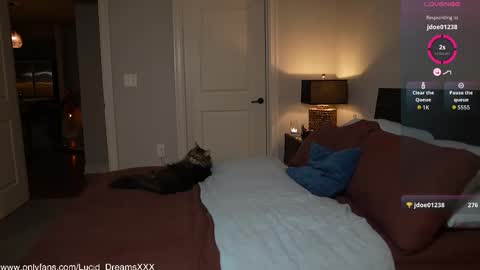 Lucid Lu online show from October 15, 2025, 12:00 am