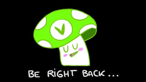 Noor online show from January 22, 2025, 6:31 pm