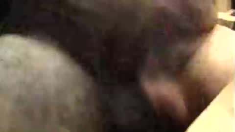 Snapshot of lukestarfckr chatting on October 9, 2025, 9:40 am lukestarfckr online show from October 9, 2025, 9:40 am