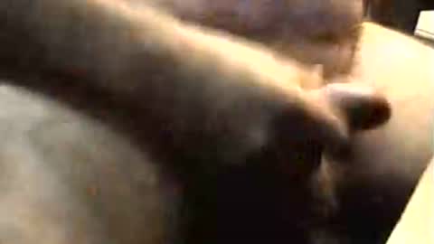 Snapshot of lukestarfckr chatting on November 2, 2025, 9:22 am lukestarfckr online show from November 2, 2025, 9:22 am