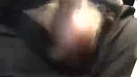 Snapshot of lukestarfckr chatting on May 29, 2026, 1:53 pm lukestarfckr online show from May 29, 2026, 1:53 pm