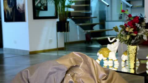 Lukhas f4f online show from January 20, 2025, 3:48 am