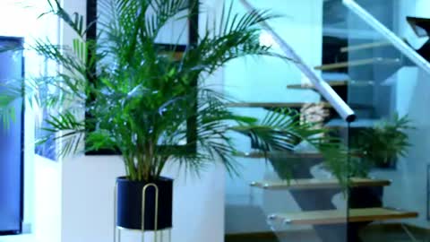 Snapshot of lukhass chatting on June 27, 2026, 3:11 am Lukhas f4f online show from June 27, 2026, 3:11 am