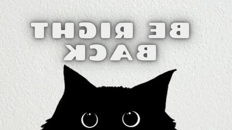 elizabeth online show from March 6, 2026, 12:18 am