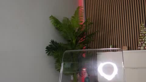 Luna Dior online show from December 5, 2025, 6:11 am