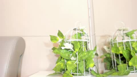 luna_bradley_ online show from April 22, 2026, 12:28 pm