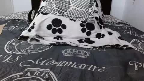 luna ferer online show from December 3, 2025, 4:09 am