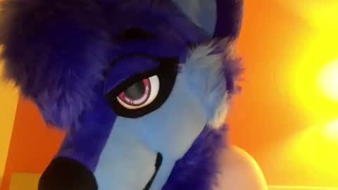 Luna online show from August 10, 2026, 5:00 am