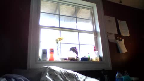 lunasecretadmirer online show from February 14, 2026, 7:21 pm