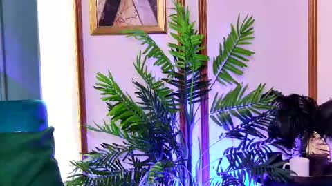 Luna online show from February 20, 2026, 6:37 am