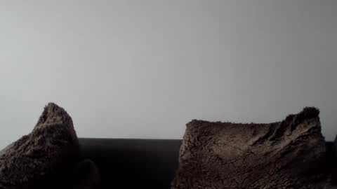 Lupine online show from January 5, 2025, 10:32 am