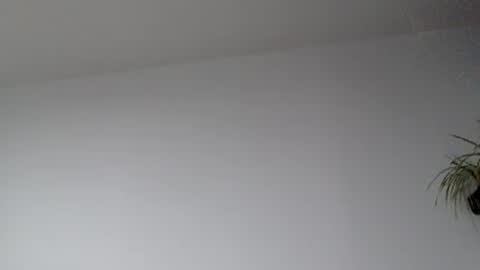 Lupine online show from September 17, 2025, 8:38 am