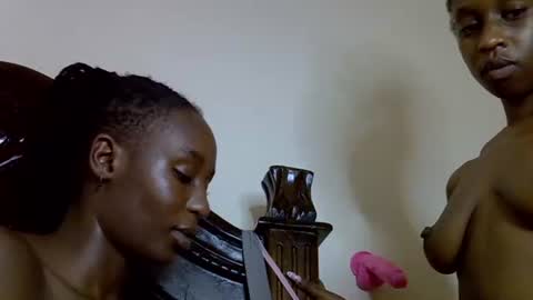 lutino_lovebirds online show from April 13, 2026, 8:25 pm