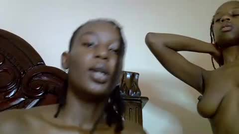 lutino_lovebirds online show from April 19, 2026, 8:02 am