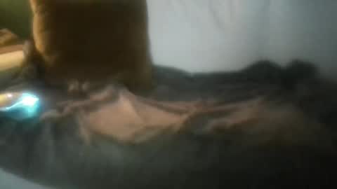 luvbigtits271 online show from January 1, 2025, 6:26 am