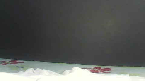 Bee Bee online show from February 9, 2026, 1:42 am