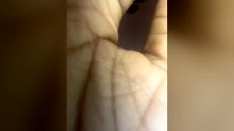 Snapshot of luvvlee chatting on June 29, 2026, 6:19 am luvvlee online show from June 29, 2026, 6:19 am