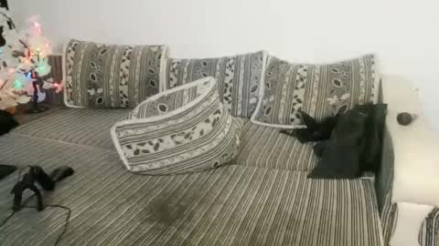 LuxMelys online show from December 25, 2024, 5:48 am