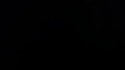 Lesly And Arnold online show from November 4, 2025, 4:00 am