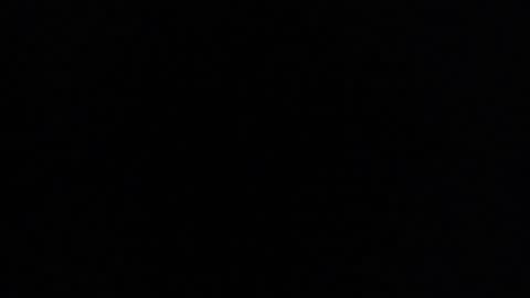 SLoppYxXPeeHoLeXxGspotxX online show from January 12, 2025, 10:56 am