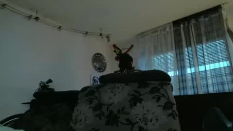 Manuel online show from December 17, 2024, 3:39 pm