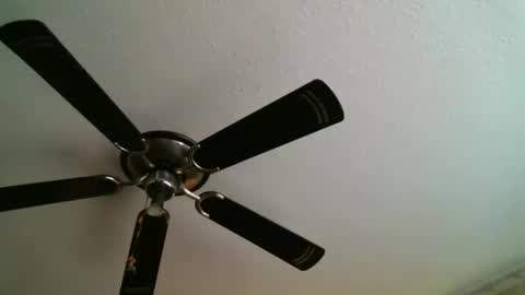 Manuel online show from January 5, 2025, 12:31 am