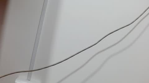 Maddy UwU online show from December 21, 2024, 12:16 pm