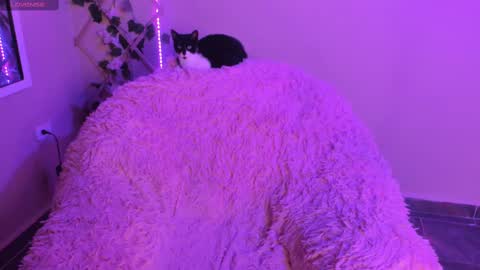 Madeline  online show from September 29, 2025, 1:11 am