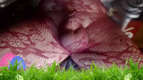 maestro2017 online show from April 12, 2026, 12:15 am