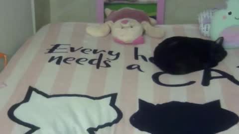 maferchavez88 online show from February 22, 2026, 10:19 pm