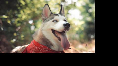 magic_katarina_ online show from January 25, 2025, 8:31 am