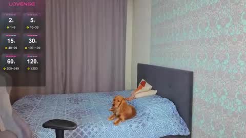 Merry online show from November 9, 2025, 1:04 am