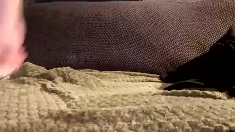 mako998843 online show from January 6, 2026, 10:01 pm