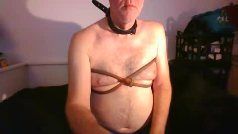 CommandbondageNipples bondage kink submissive lovense slave wgear. modequiethvyBondage If Password goldfish online show from January 29, 2025, 9:12 am