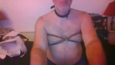 CommandbondageNipples bondage kink submissive lovense slave wgear. modequiethvyBondage If Password goldfish online show from October 14, 2025, 7:31 am