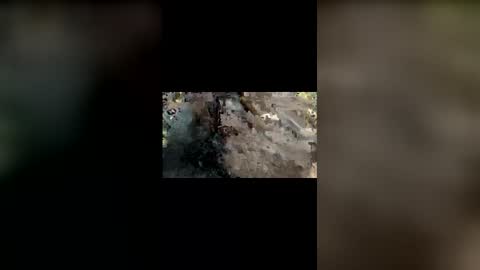 Mallubull online show from November 25, 2025, 8:42 pm