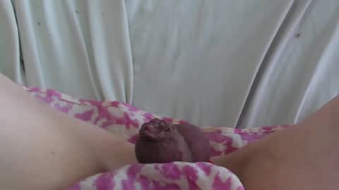 ..          .. online show from February 22, 2025, 5:35 pm