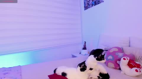   online show from February 2, 2026, 10:08 pm