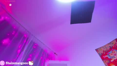 Snapshot of mangoshake_ chatting on April 26, 2026, 2:09 am Manguito online show from April 26, 2026, 2:09 am