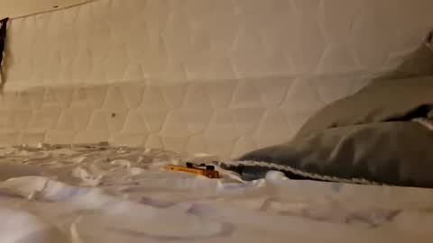 Jan and Man online show from March 17, 2026, 3:33 am