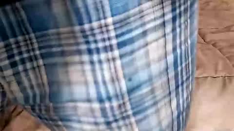 Dickinabox online show from September 14, 2025, 9:47 pm