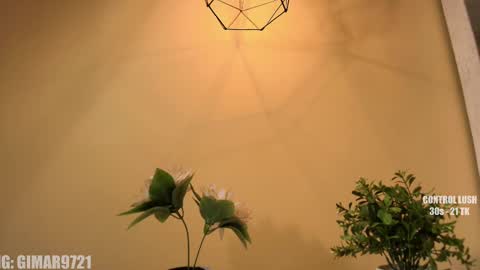 Marcela online show from September 11, 2025, 12:00 am