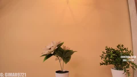 Marcela online show from September 29, 2025, 1:22 am