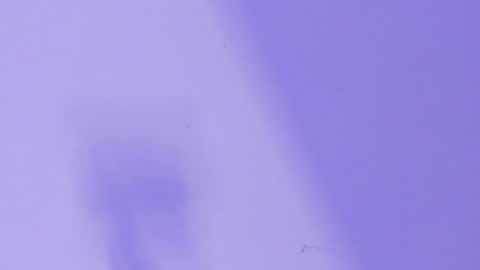 MARCELO online show from January 26, 2025, 6:28 am