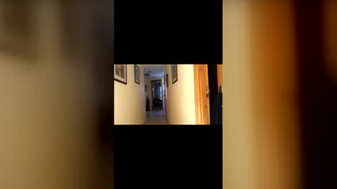 marcos260526 online show from February 1, 2026, 3:43 pm