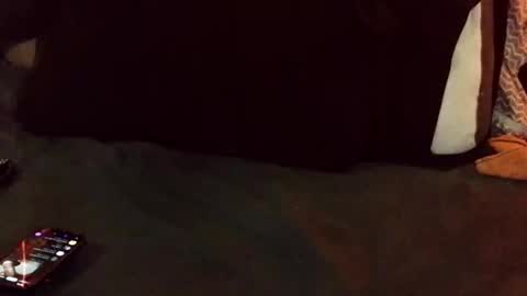 marctheslut online show from May 26, 2026, 6:04 pm
