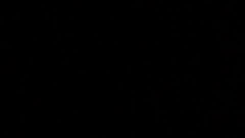 Elle online show from October 11, 2025, 2:26 pm