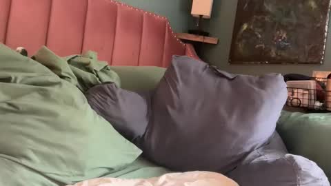 Elle online show from April 24, 2026, 1:46 pm