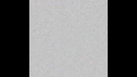 Margot online show from March 4, 2025, 11:19 am