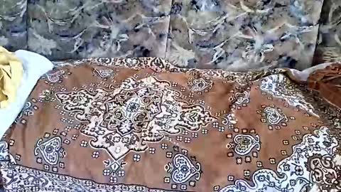 Snapshot of marian20242025 chatting on November 1, 2025, 7:10 am marian20242025 online show from November 1, 2025, 7:10 am